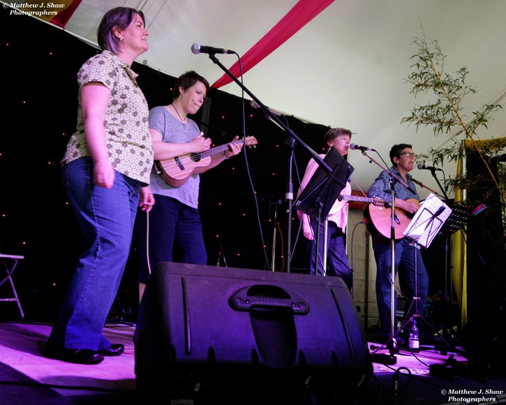 Razz Up-Steyning Festival-The Cheer Up Mollies-©Matthew J. Shaw Photographers-020